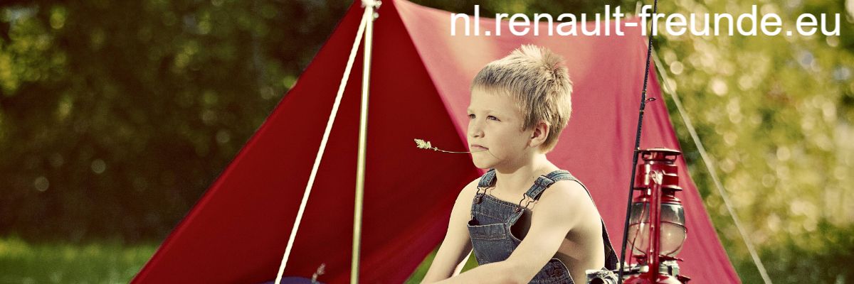 nl.renault-freunde.eu